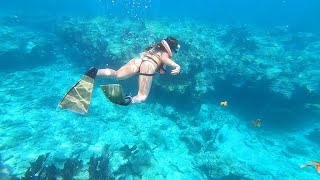 Snorkeling | Key West, Florida (World's Third Largest Coral Reef)
