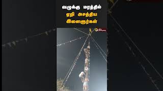 வழுக்கு மரத்தில் ஏறி அசத்திய இளைஞர்கள் | #shorts | #pudukottai