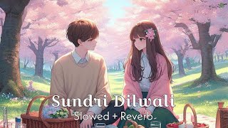 Sundri Dilwali || ( Slowed \u0026 Reverb) || Sambalpuri Lofi