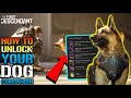 The First Descendant: Dog Companion Guide! How To Unlock The 