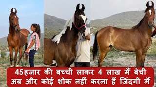 45 हजार की बच्ची लाकर 4 लाख मैं बेची कमाया गजब का मुनाफा || RADHE SHAYAM SHARMA AAMET ||