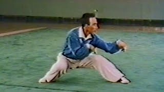 【Wushu】1976  Yu Hai (Tanglangquan)