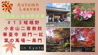 【風景と自然】京都嵐山嵯峨野 紅葉 ＃１３　二尊院 総門～紅葉の馬場～黒門 2024年11月30日　Kyoto, Arashiyama, Sagano Autumn Leaves Series #13