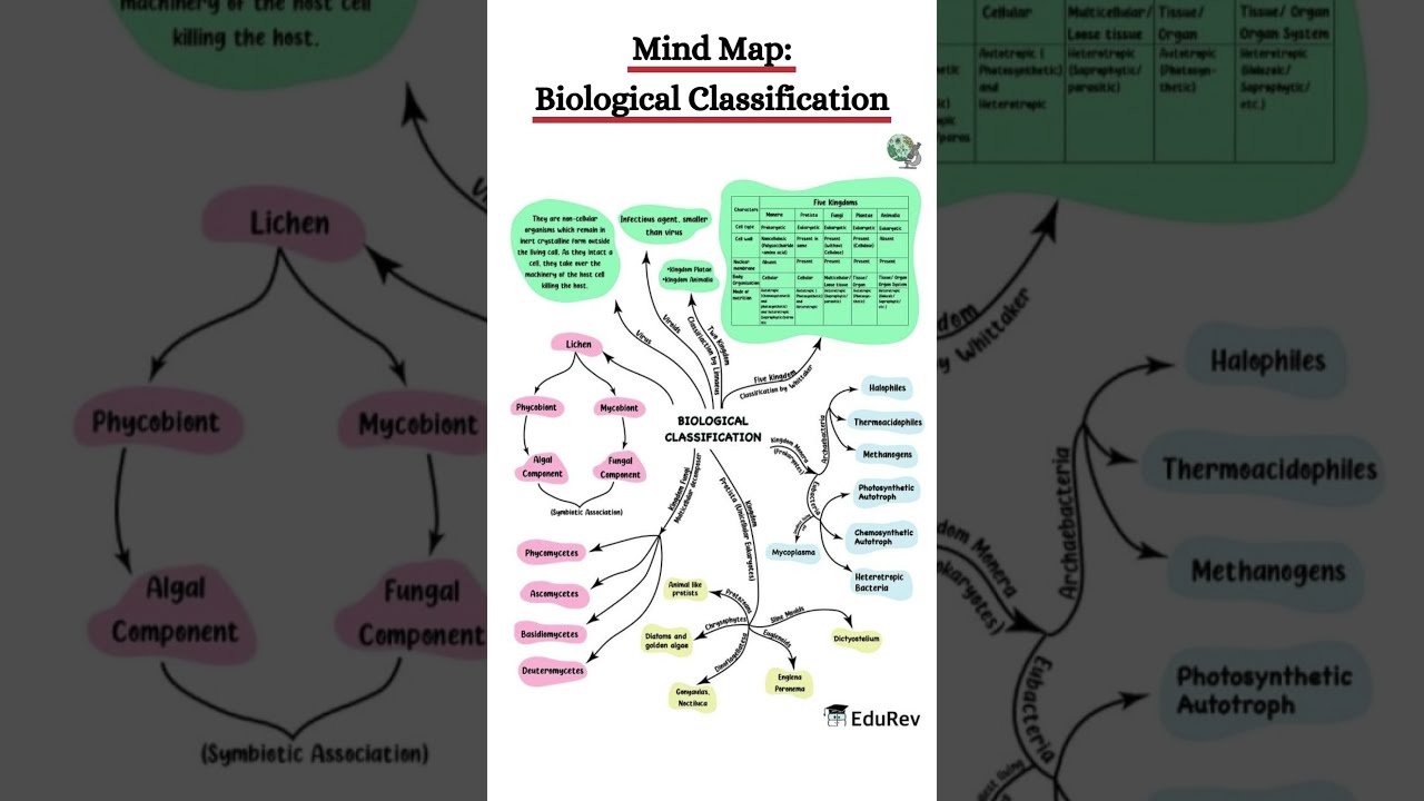 Take A SCREENSHOT! | Biological Classification Mind Map For NEET# ...