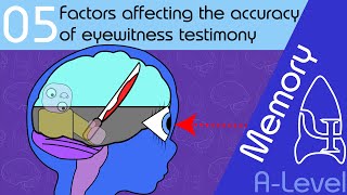 Factors affecting the accuracy of eyewitness testimony [AQA ALevel]