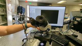 How to Use AMSCOPE camera