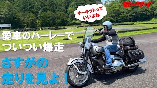 カフェ耐レースの練習風景を見た辻本聡さんが愛車ハーレーでサーキット進入?!