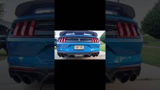 2020 GT500 3.8 WHIPPLE VS ANYTHING #mustang #shelby #ford #gt500 #streetracing #musclecar #dream car