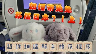 如何帶兔兔移居日本？超詳細解說手續及程序