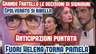 GF Anticipazioni e novità Signorini ha deciso, dal ritorno di Pamela alla squalifica di Helena