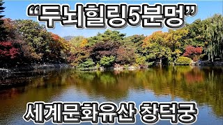 랜선힐링, 두뇌힐링 5분 \