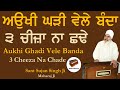 Aukhi Ghadi Vele 3 Cheza Na Chado | Anmol Bachan - Sant Sujan Singh Ji Kirtan | Baba Nand Singh Ji