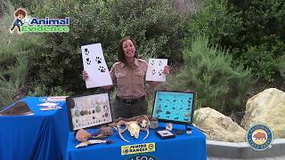 Winter’s Junior Ranger Program
