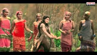Ranam Video Songs - Nallanimabbu Video Song - Gopichand, Kamna Jethmalani
