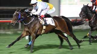 Tendürek Koşusu 2014-suzi Gold