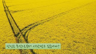 돈의 특징은 무엇입니까? (크리스천 셀프 코칭 #1)