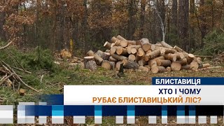 Хто і чому рубає блиставицький ліс?