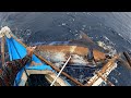 UNANG BIYAYA PARA KAY KA FISHING ROMEL JACKPOT AGAD |ANG LAKI NG BLUE MARLIN 😮