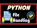Python File Handling How to Create, Open, Append, Read, Write | Python File Handling for Beginners