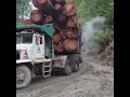 Logging Trucks - Machines in action