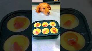🤩Let's make a dog Food #jamaljamaloo #animal #ytshorts #doglover #dogfood #shortsfeed