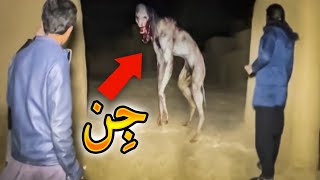 حمله جن به ماجراجوها 😨 دو ویدیو ترسناک ماجراجویی جدید