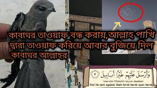 কাবাঘর তাওয়াফ বন্ধ করায়,আল্লাহ পাখি দ্বারা তাওয়াফ করিয়ে আবার বুজিয়ে দিল কাবাঘর  আল্লাহর।