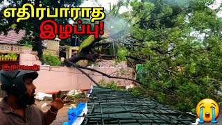 யாழ்ப்பாணத்தில் மாண்டஸ் புயலின் தாக்கம்!😭 Mandous Cyclone🌀Affected Jaffna | Alasteen Rock