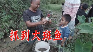 二哥和一群好兄弟继续抽水坑抓鱼，收获大斑鱼，发财了【柳州二哥】