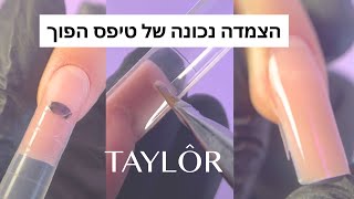 איך להצמיד טיפס הפוך לציפורן (שיעור 7) | קורס טיפסים הפוכים Quick Forms BASIC