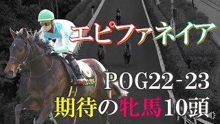 【pog22-23】三冠牝馬\u00262歳女王輩出！エピファネイア産駒期待の牝馬10頭を紹介します！【2歳馬】