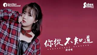 劉增瞳 - 你從不知道 『你對我有多麼重要』 【動態歌詞Lyrics】