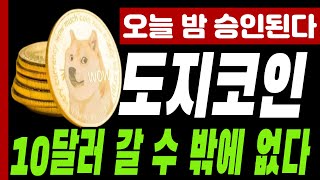 [도지코인 전망]오늘 밤 승인된다 10달러 갈 수 밖에 없다