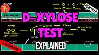 D-XYLOSE TEST Explained