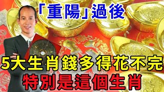 「重陽」過後,錢多得花不完的5大生肖！一生富貴多金！特別是這個生肖！有意外大財之喜！千萬不要錯過！｜禪語佛音#生肖 #運勢 #風水 #財運#命理