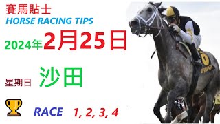 「賽馬貼士」🐴  2023 年 2 月 25 日 沙田🐴    香港賽馬貼士  HONG KONG HORSE RACING TIPS  🐴 RACE  1  2  3  4