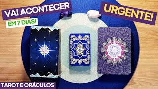 TAROT: Vai acontecer nos Próximos 7 Dias! | Previsões e Orientações | Tarot Responde