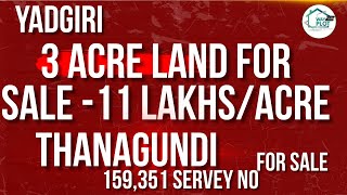 3 Acre Land For Sale at 11 lakhs per acre in Thanagundi Yadgiri #yadgiri #realestate