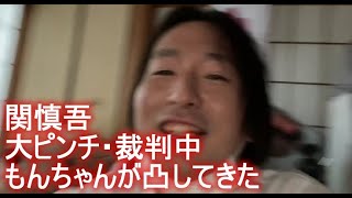 関慎吾　大ピンチ・裁判中　もんちゃんが凸してきた　2022年08月20日17時