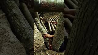 bushcraft shelter！激しい雨の中、快適に過ごす森時間！