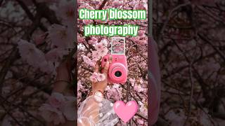 🌸 cherry blossom photography #blossom #pink #cherry #pink #asthetic #cute #shorts #viralvideo