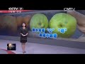 20150325 聚焦三农 网上看招聘