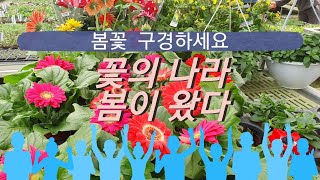 봄맞이 꽃구경 환영합니데이! #봄꽃,#할미꽃,#식물원