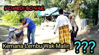 Kemana Lembu Wak Malin...??