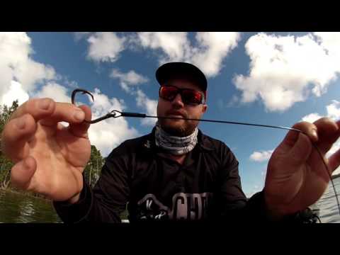 - How To - Catching Small Sharks - How To - Catching Small Sharks
