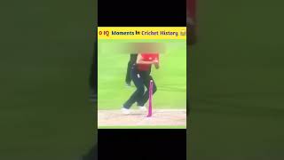 0 IQ moments in cricket history #cricket #viralvideo #youtubeshorts