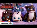 Surprise Visitors in New Berk  | HOW TO TRAIN YOUR DRAGON - HOMECOMING