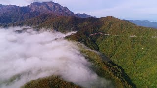 枝折峠の滝雲 【Waterfall of Clouds at Siori Pass 】新潟県魚沼市　4K空撮