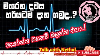 මැරෙන දවස හරියටම දැනගමු. || Talk with Nethula..||