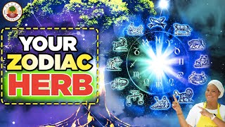 Best Magical HERB for Your HOROSCOPE ZODIAC SIGN ! | Yeyeo Botanica